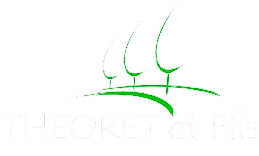 logo theoretfiels2