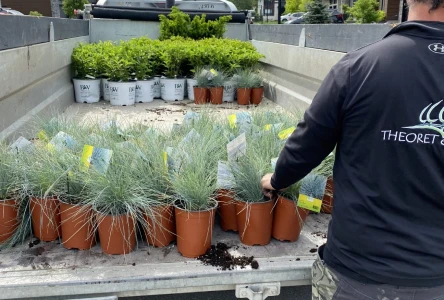 plants-team-img